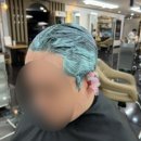 위즈헤어 네이버블로그