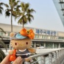 프로미카월드 김포점 | 김포공항 공식 주차대행 주차장 요금 국내선 1주차장