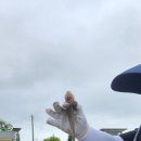 전곡리어촌체험휴양마을 이미지