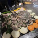 오리고집 이미지