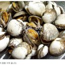 밥도둑 이미지