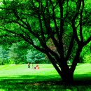 대자연가든 이미지