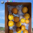 두식농장 | 농라 랑이준이네 제주도 귤 맛집 추천 천혜향, 감귤 맛집 내돈내산 _구매링크 첨부