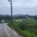 하만농장 이미지