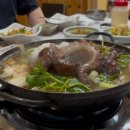 일품해물탕 | [삼척] 삼척 문어해물탕 끝판왕! ‘일품해물탕’ 내돈내산 솔직 후기