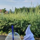 남승농장 이미지