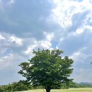 와흘메밀마을 이미지