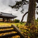 고봉보건진료소 이미지