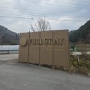 스테이펫 | 홍천 애견동반 여행 숙소 추천: 풀스테이 스테이펫_글램핑 후기