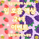 일원전자담배