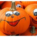 다올한의원 이미지