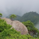 시청운동장 이미지