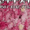 토이랜드게임센터 | 수영 펀투주짓수 세번째 후기(26.2.2)