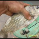 산정소류지 이미지