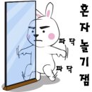 아울라 커피 이미지