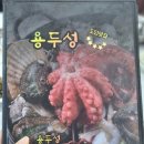 용두성 이미지