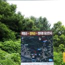 도그 앤 조이 이미지