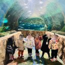 조은어린이집 이미지