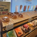 뚜레쥬르포항 - 포항시 북구 초곡지구로58번길 52 | 뚜레쥬르포항