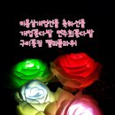 구미꽃집 캘리플라워아트 이벤트 꽃다발 플라워박스 축하선물이나 여친선물로도 좋아요 구미 핸드메이드 수업문의 원데이클래스 LED플라워만들기 하고있어요 이미지