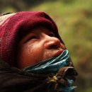 벌과 사람 이미지