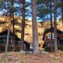 숲속의집 이미지