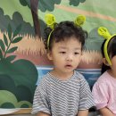 슈렉 이미지
