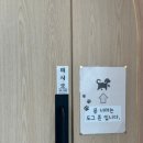 그르르 | 익산 대형 애견동반 카페 그르르 방문후기