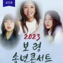 보령 송년콘서트 이미지