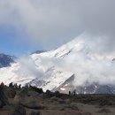 Burroughs Mountain Loop Trail 이미지