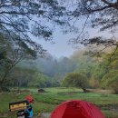 11305-10-45 이미지