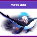 웨일스토리 티스토리