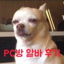 킹PC방 | PC방 알바 2년짬 &#39;꿀팁 같은&#39; 후기