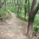 인후공원 유아숲체험원 이미지