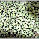 왕산골숲속 이미지