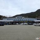 고성공룡나라(대전) 티스토리