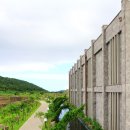 세계오지민속박물관 (베니스랜드) 이미지