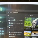 오렌텍 | 키감 신박한 12가지 키보드 후기 (레이저, 로지텍, cougar, 아수스, 앱코, 콕스) @일렉트로마트 2024-04-08