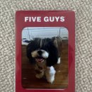 수원시 영통구 광교중앙로 이미지