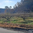 살미면사무소 이미지