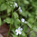 봉화1길 이미지