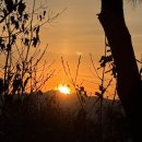 new 집에서 즐기는 호텔베이킹&디저트 | 2026년 1월 새해 첫 달부터 부지런히 잘 보냈구나