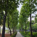 5월27일(화) 보라매공원 서울 국제정원박람회 여행공지 이미지