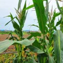 모항1리 복지회관 이미지