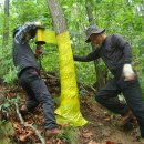 홍천국유림관리소 이미지