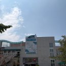 당진어시장협동조합 | 전망대종합어시장 진짜후기 | 삽교천 여행 중 들른 어시장 솔직 기록