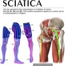 연세88마취통증의학과의원 이미지