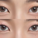 헤이즐톤 이미지