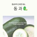 이주석농장 | [동과즙] 먹으면 살이빠져 안먹게 된 채소가 있다??