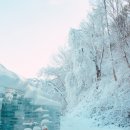 곡성기차마을영농조합 | [공지] 청양 알프스마을 얼음분수축제 충남 가볼만한곳